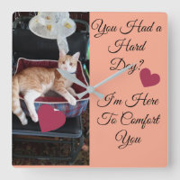 Cat Photo, Funny Quotes, Heart, Name
