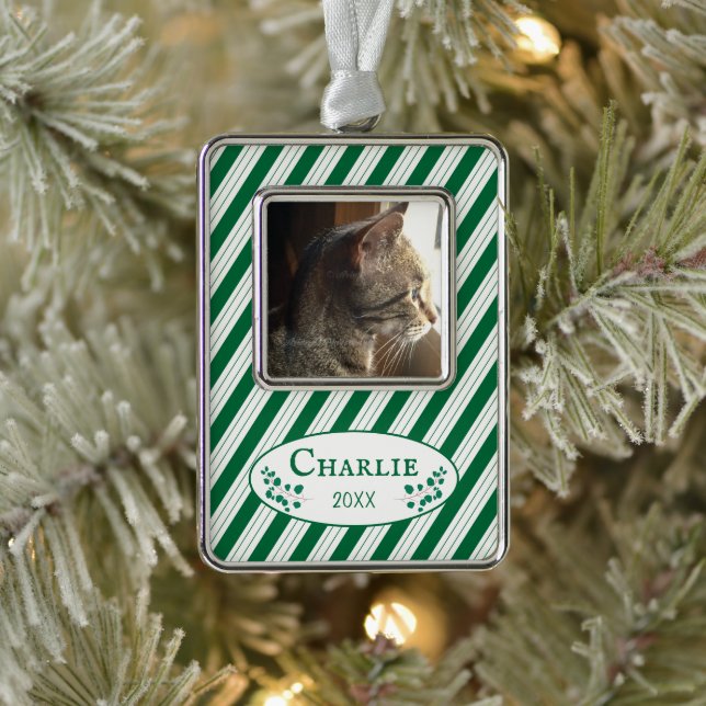 Cat Photo Green Stripes Framed Christmas Ornament (Tree)