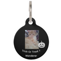 Cat Photo, Halloween Text, Name , Customise,
