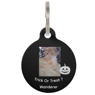 Cat Photo, Halloween Text, Name , Customise, Pet Tag