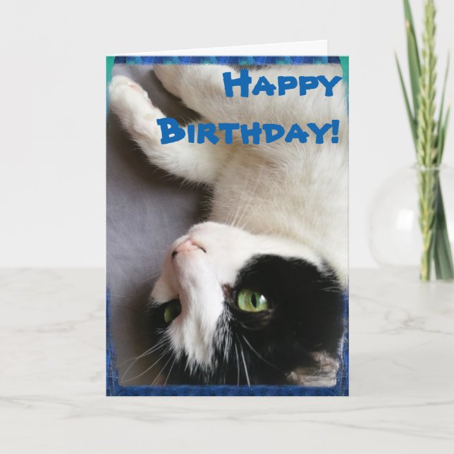 Cat Photo Happy Birthday Card (Front)