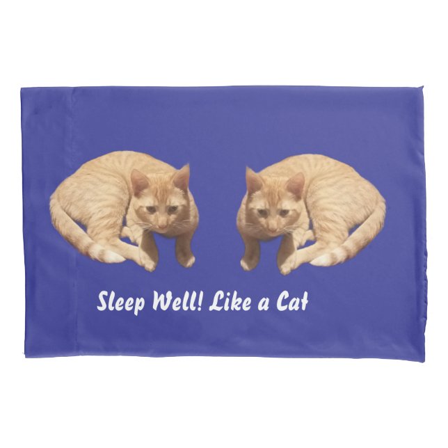 Cat Photo Humor Text Blue Red  Pillowcase (Front-Left)