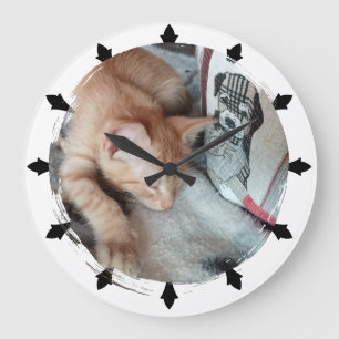 Cat Photo , Humour , replaceable, Round Large Clock