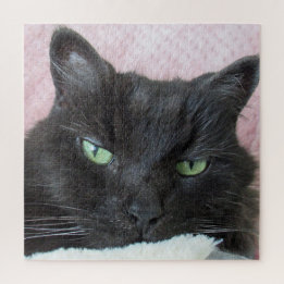 Cat Photo  Jigsaw Puzzle