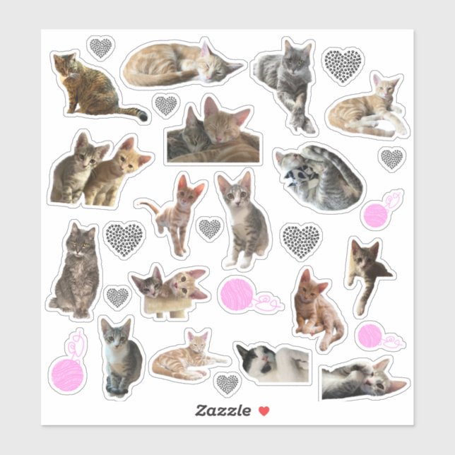 Cat Photo Kiss-Cut Vinyl Stickers (Sheet)
