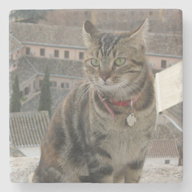 Cat Photo Marble Stone Coaster (Front)