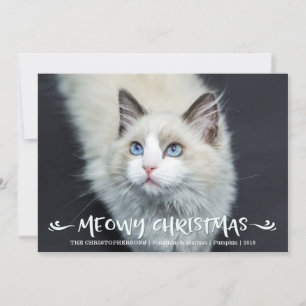 Cat Photo   Meowy Christmas Holiday Card