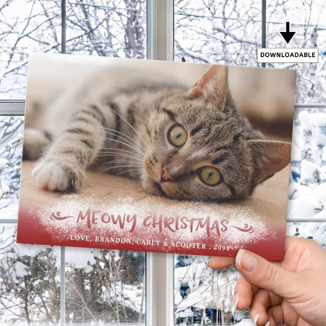 Cat Photo MEOWY CHRISTMAS Snow Red Holiday Card (Creator Uploaded)