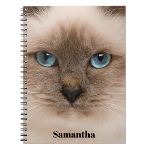 Cat Photo Name  Notebook