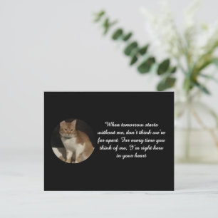 Cat Photo Name Text Cat Loss Sympathy Card