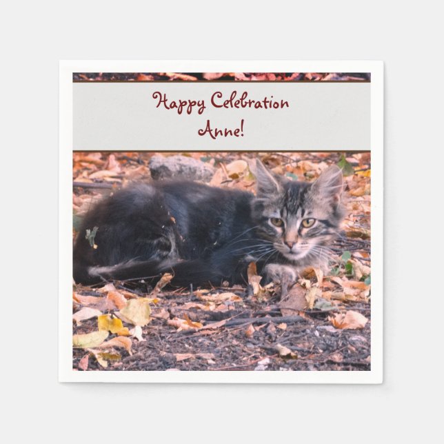 Cat Photo Napkin (Front)