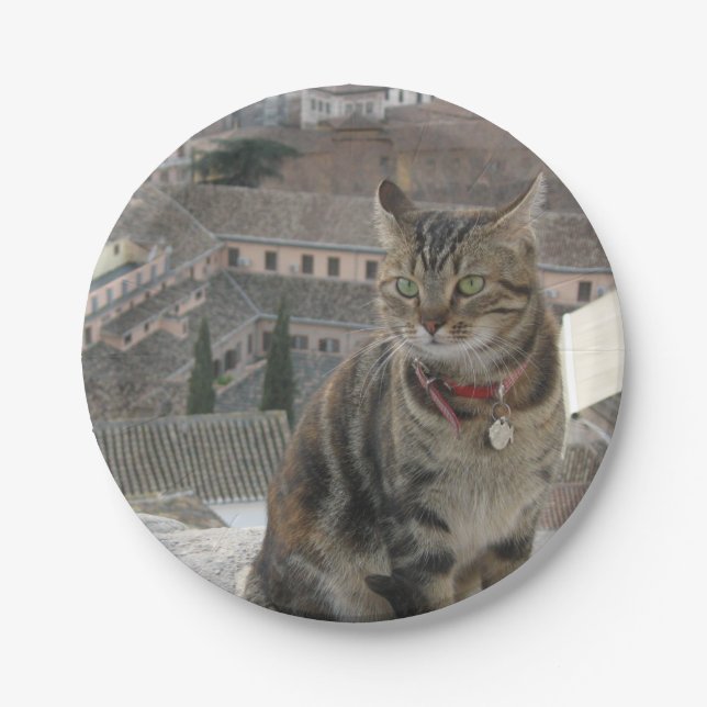 Cat Photo Paper Plates (Front)