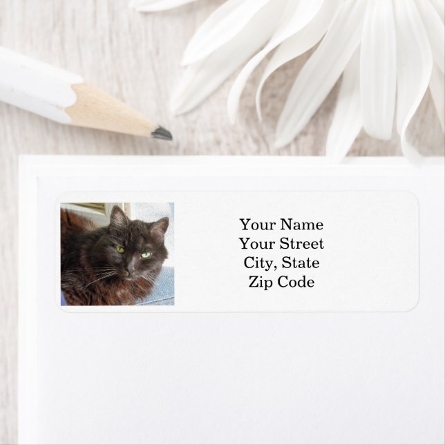 Cat Photo Personalized  (Insitu)