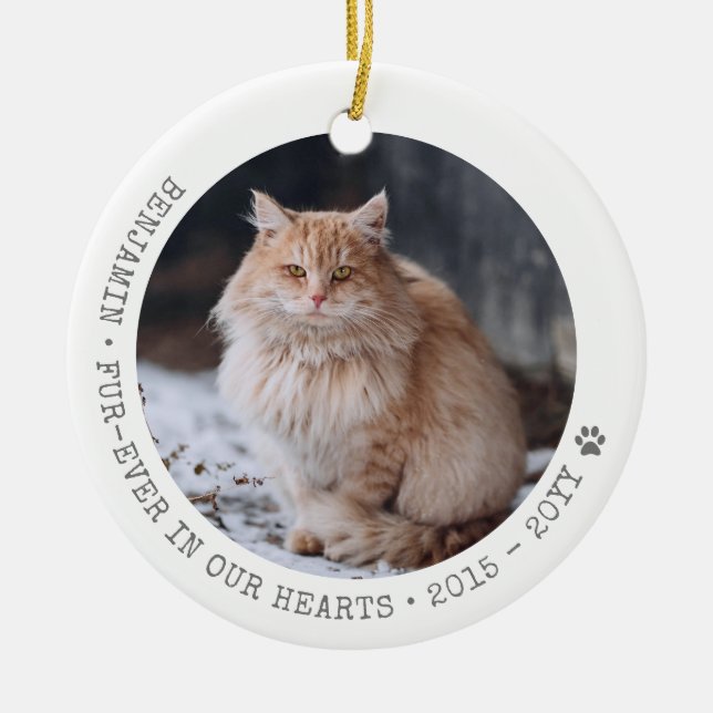 Cat Photo Pet Passing Memorial Personalised Ceramic Tree Decoration (Front)