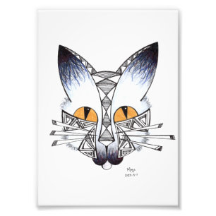 Cat Photo Print