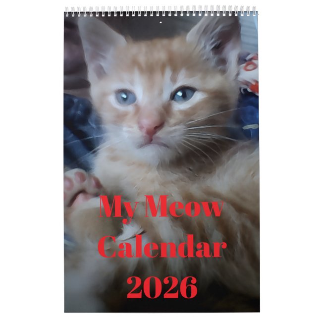 Cat Photo Quotes Customize Fun Calendar (Cover)