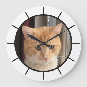 Cat Photo, replaceable, Funny Large Clock
