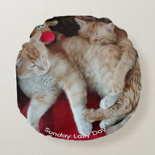 Cat photo Round Pillow