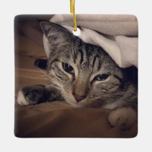 Cat Photo Square Picture Christmas Ceramic Tree Decoration (Front)