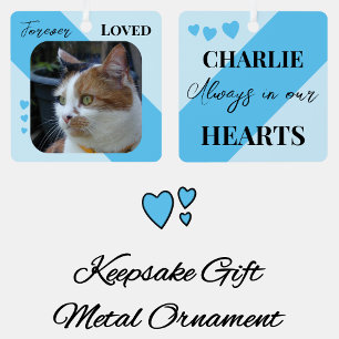 Cat Photo Sympathy Keepsake Pet Memorial blue Metal Tree Decoration