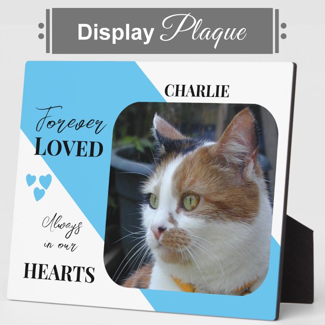 Cat Photo Sympathy Keepsake Pet Memorial blue Plaque (Creator Uploaded)