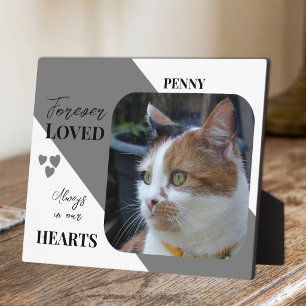 Cat Photo Sympathy Keepsake Pet Memorial grey Plaque