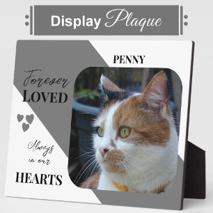 Cat Photo Sympathy Keepsake Pet Memorial grey Plaque