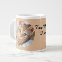 Cat Photo, Text, replaceable, Funny, Cat Lovers'