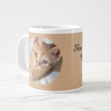 Cat Photo, Text, replaceable, Funny, Cat Lovers'