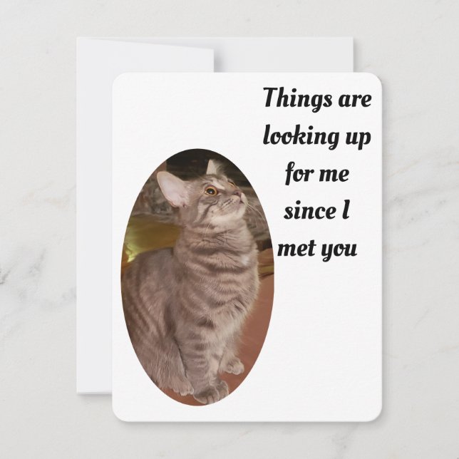 Cat Photo Things Looking Up Purrfect Valentine Holiday Card (Front)