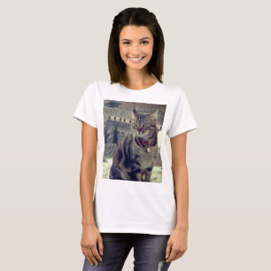 Cat Photo Women's Basic T-Shirt, White T-Shirt