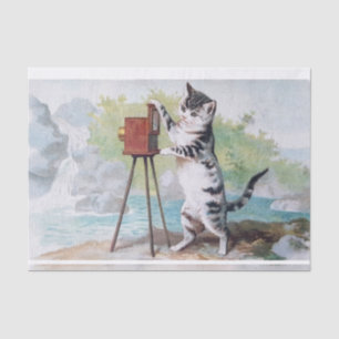 Cat Photographer • Helena Maguire (1860-1909) Tissue Paper