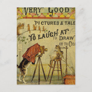 Cat Photographer to Cats Postcard