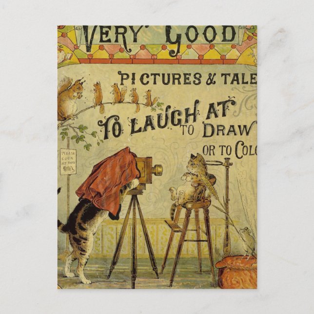 Cat Photographer to Cats Postcard (Front)