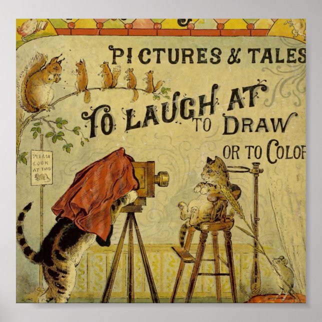 Cat Photographer to Cats Poster (Front)