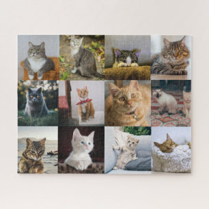 Cat Photos on Jigsaw Jigsaw Puzzle