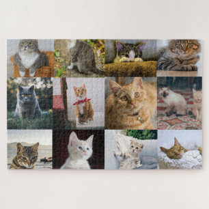 Cat Photos on Jigsaw Jigsaw Puzzle