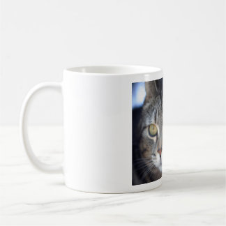 cat picture mug