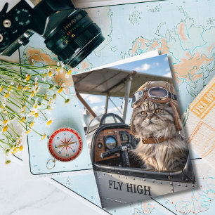 Cat Pilot & Aeroplane, Cool Funny Aviation Birthda Card