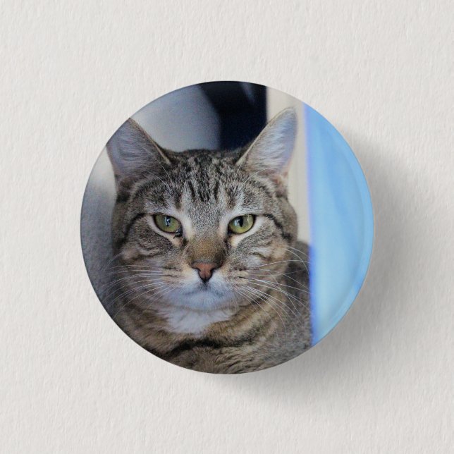 Cat Ping Pong Ball 3 Cm Round Badge (Front)