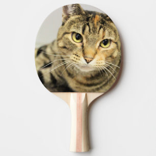 Cat Ping Pong Paddle