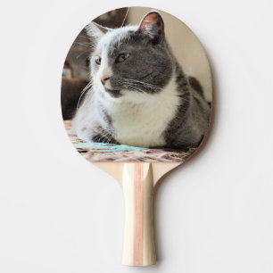Cat Ping Pong Paddle