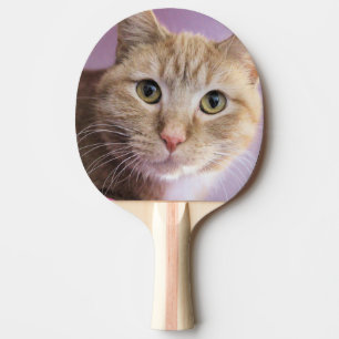 Cat Ping Pong Paddle