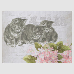 Cat Pink Flower French Script Paris Decoupage  Tissue Paper