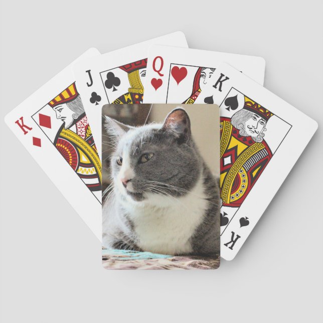Cat Playing Cards (Back)