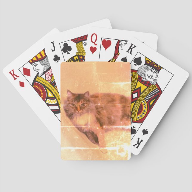 Cat Playing Cards (Back)