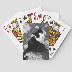 Cat Playing Cards