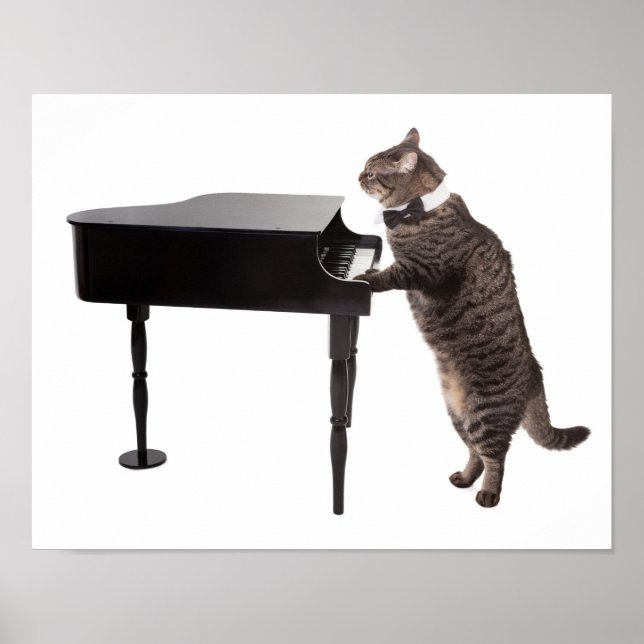 Cat Playing Piano Poster (Front)