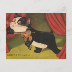 Cat Playing Sonet On Violin From 1909 PC Postcard
