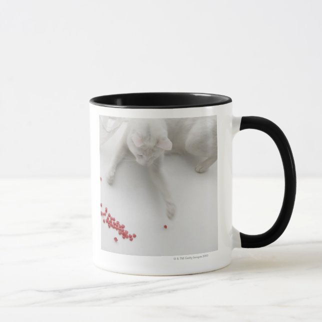 Cat playing with heart shaped candy mug (Right)